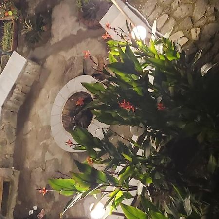 Kasauli Cascade A Cheerfull 4 Bedroom Challet Buitenkant foto