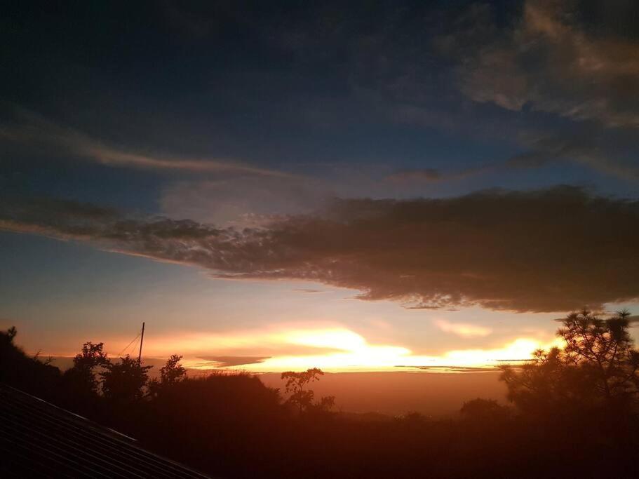 Kasauli Cascade A Cheerfull 4 Bedroom Challet Buitenkant foto