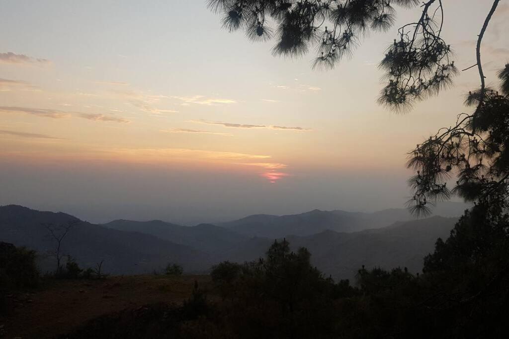 Kasauli Cascade A Cheerfull 4 Bedroom Challet Buitenkant foto
