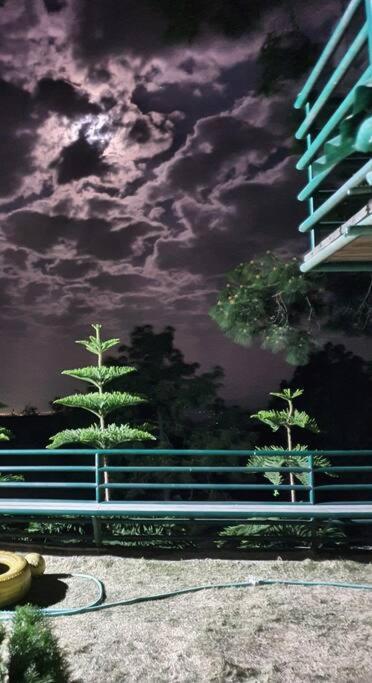 Kasauli Cascade A Cheerfull 4 Bedroom Challet Buitenkant foto