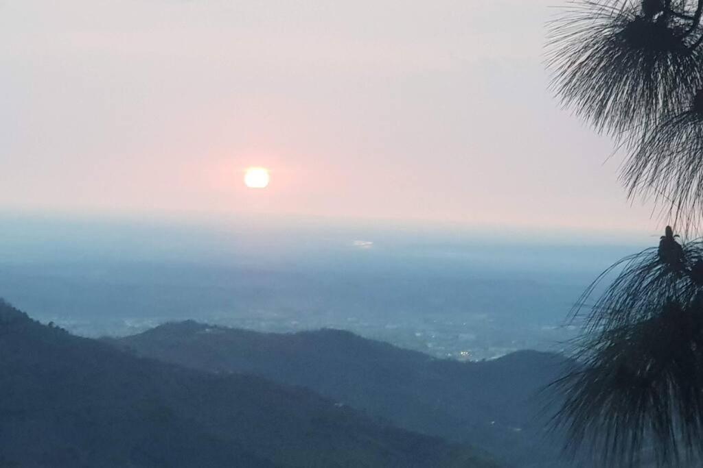 Kasauli Cascade A Cheerfull 4 Bedroom Challet Buitenkant foto
