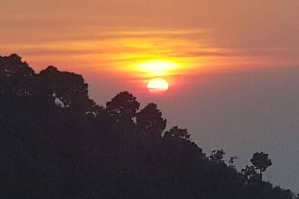 Kasauli Cascade A Cheerfull 4 Bedroom Challet Buitenkant foto