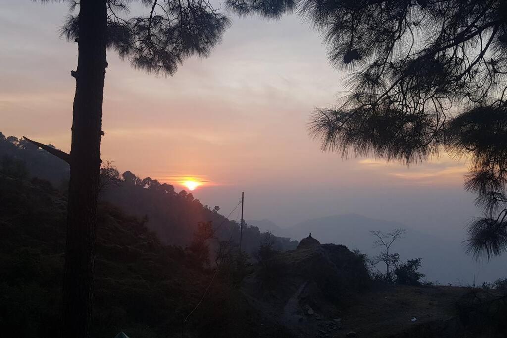 Kasauli Cascade A Cheerfull 4 Bedroom Challet Buitenkant foto