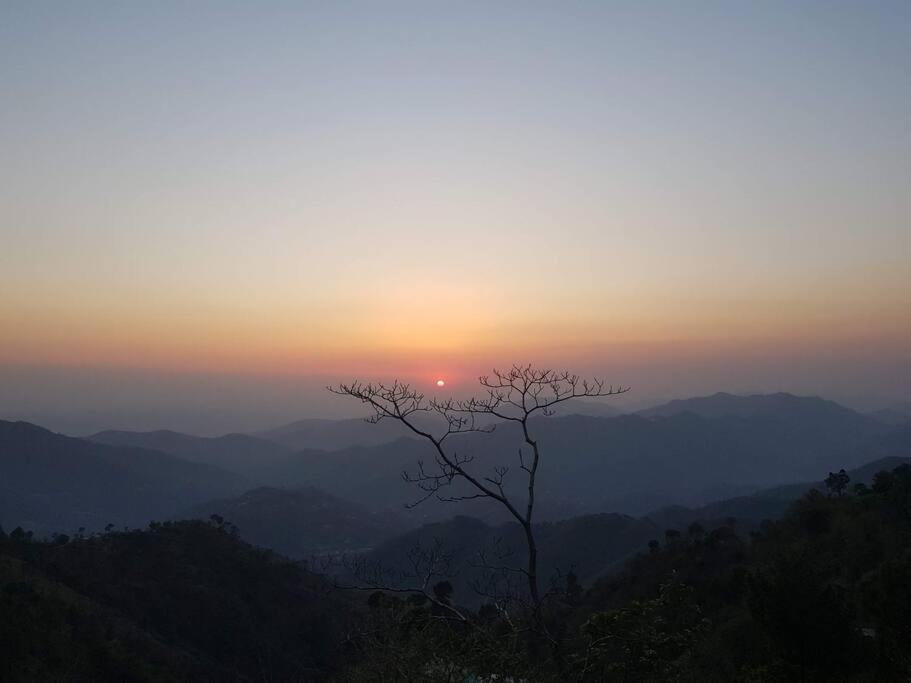 Kasauli Cascade A Cheerfull 4 Bedroom Challet Buitenkant foto