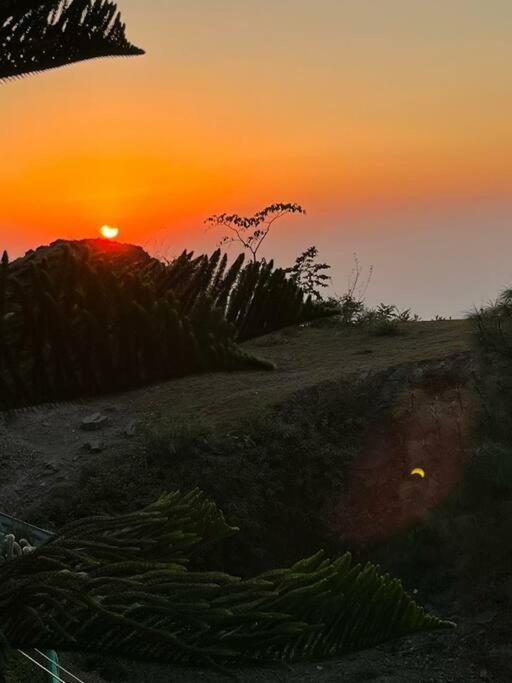 Kasauli Cascade A Cheerfull 4 Bedroom Challet Buitenkant foto